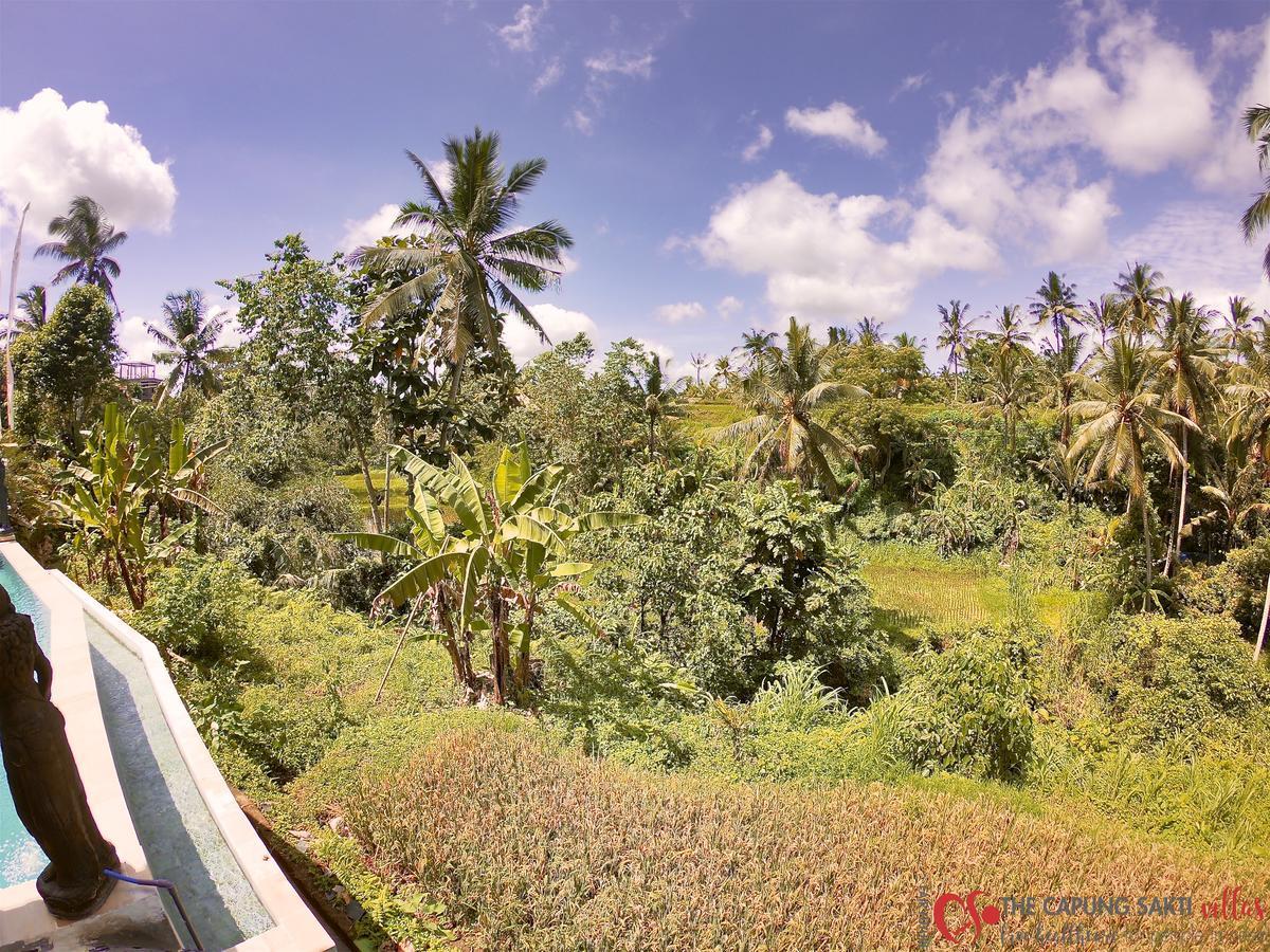 Capung Sakti Villas Убуд Экстерьер фото
