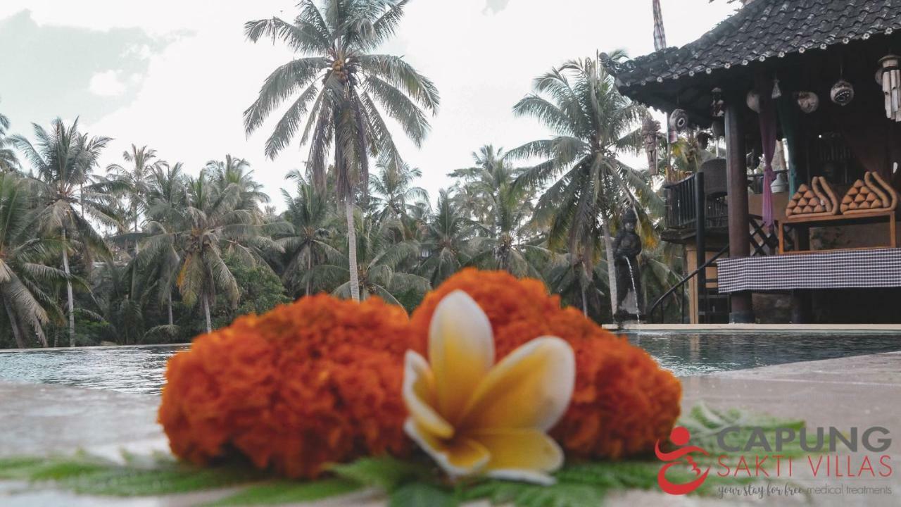 Capung Sakti Villas Убуд Экстерьер фото